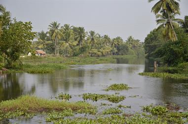 Houseboat-Tour from Alleppey to Kollam_DSC6701_H600